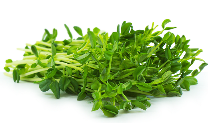 Mediterranean Garden Pea is the focal ingredient of Follipur